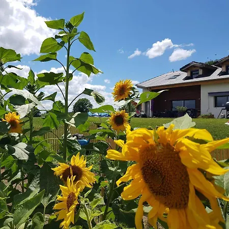 Bed & Breakfast D'hotes La Ganivelle